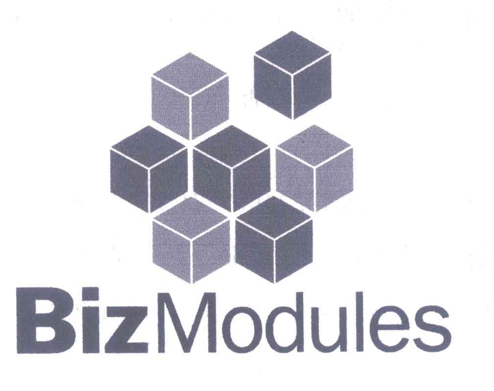 BIZ MODULES