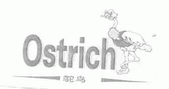 鸵鸟;OSTRICH