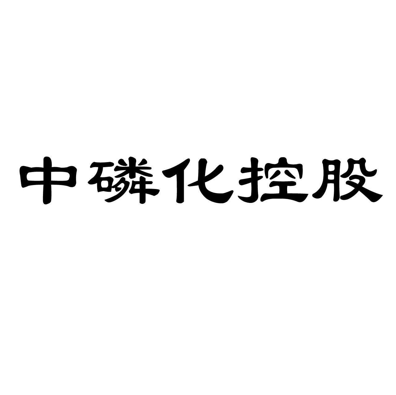 中磷化控股
