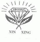XIN XING