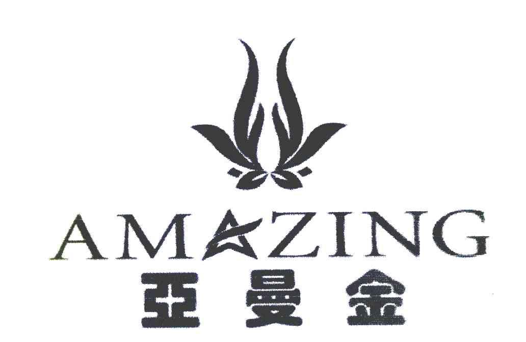 亚曼金 AMAZING