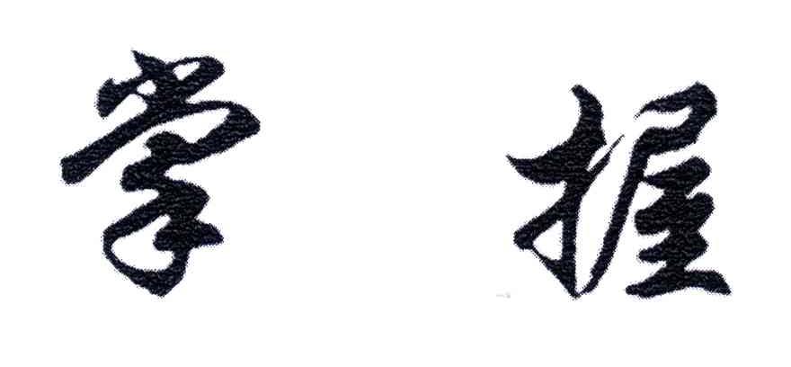 掌握