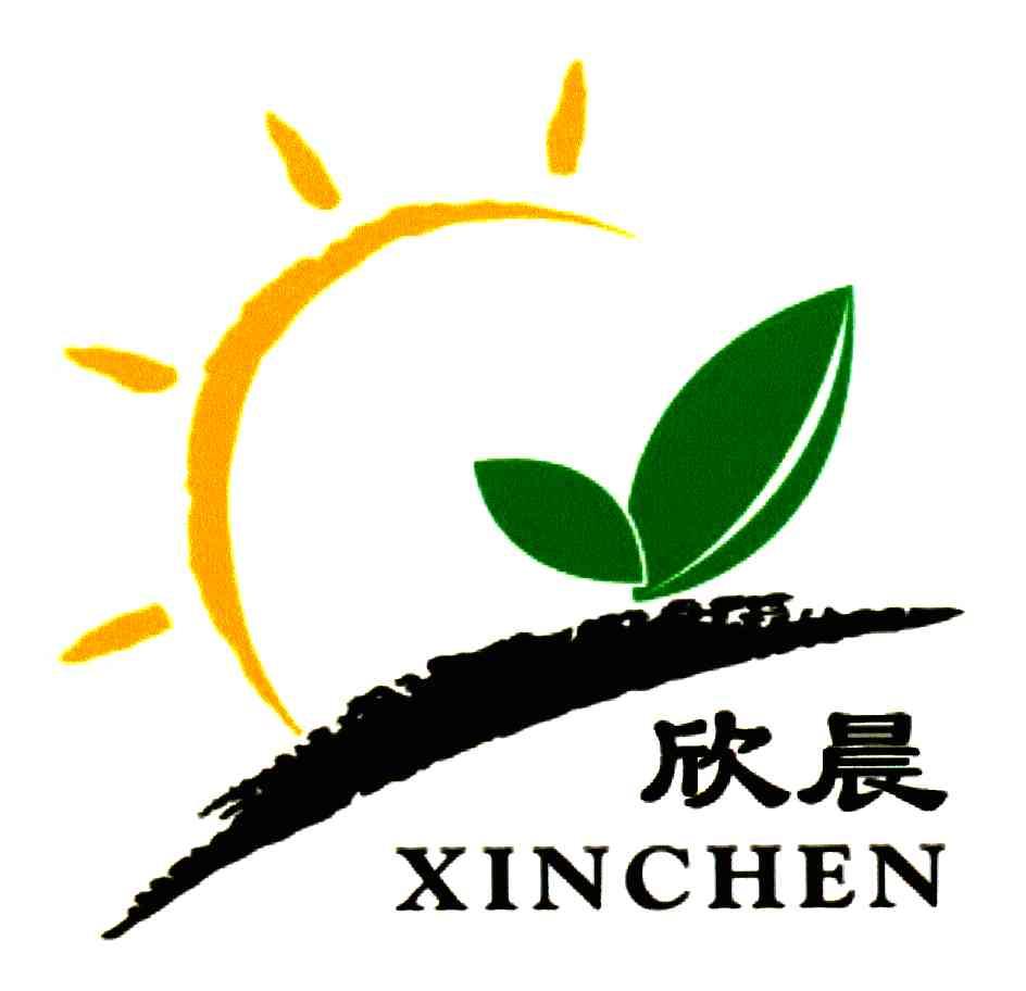欣晨