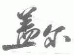 盖尔