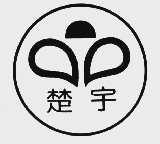 楚宇