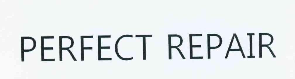 PERFECT REPAIR