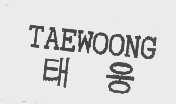 TAEWOONG