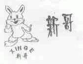 新哥