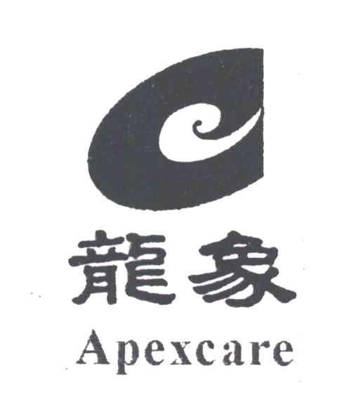 龙象