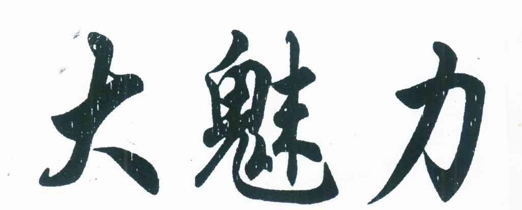 大魅力