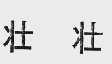 壮壮