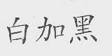 白加黑