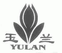 玉兰