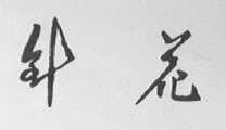 针花