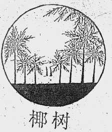 椰树