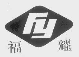 福耀   FY