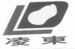 凌东