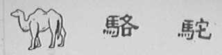 骆驼