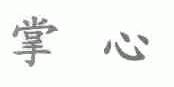 掌心
