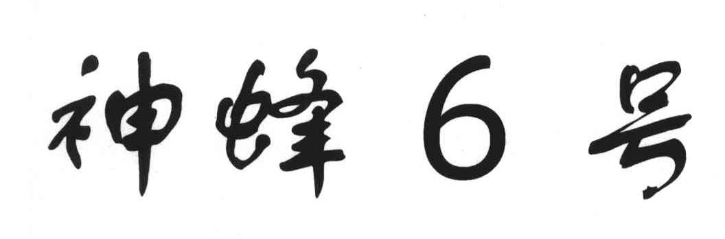 神蜂号;6