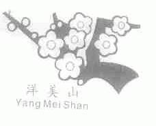 洋美山