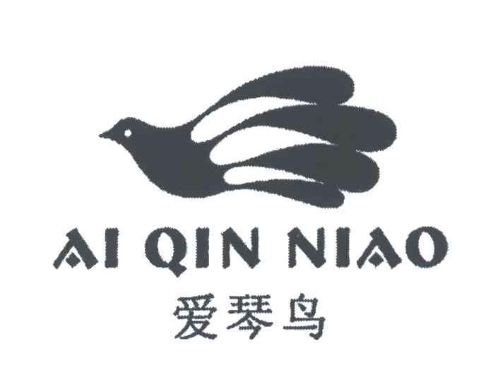 爱琴鸟