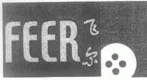 飞尔;FEER