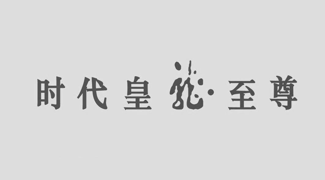 时代皇龙至尊