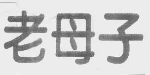 老母子