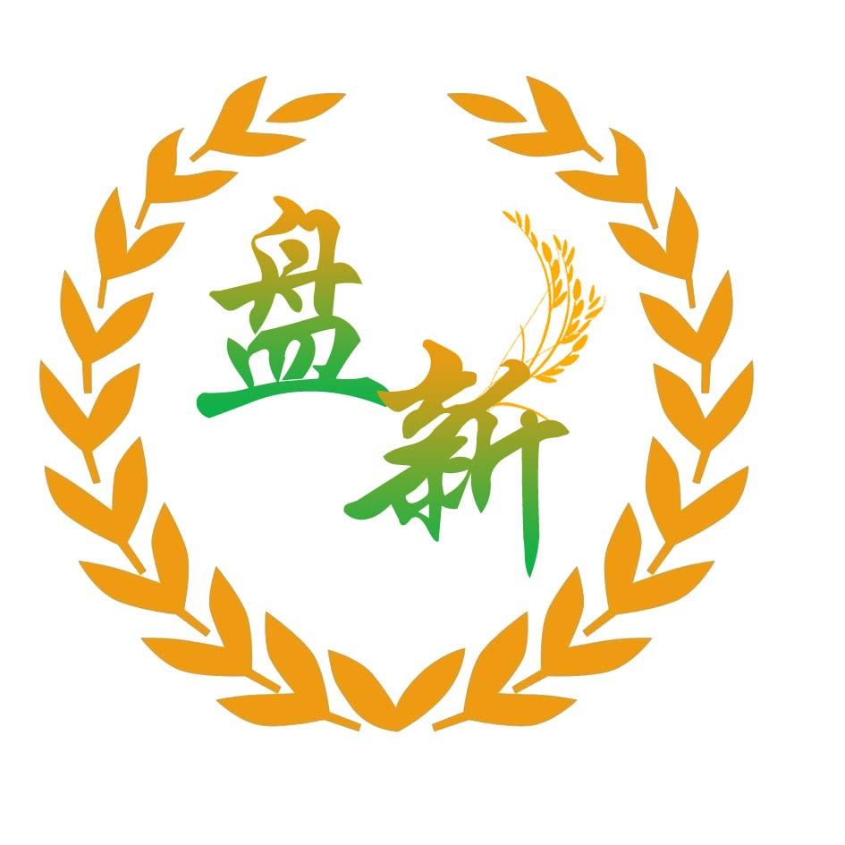 盘新