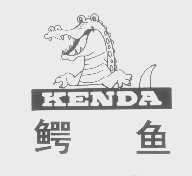鳄鱼   KENDA