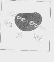 相思树   LOVE TREE
