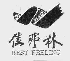 佳弗林   BEST FEELING