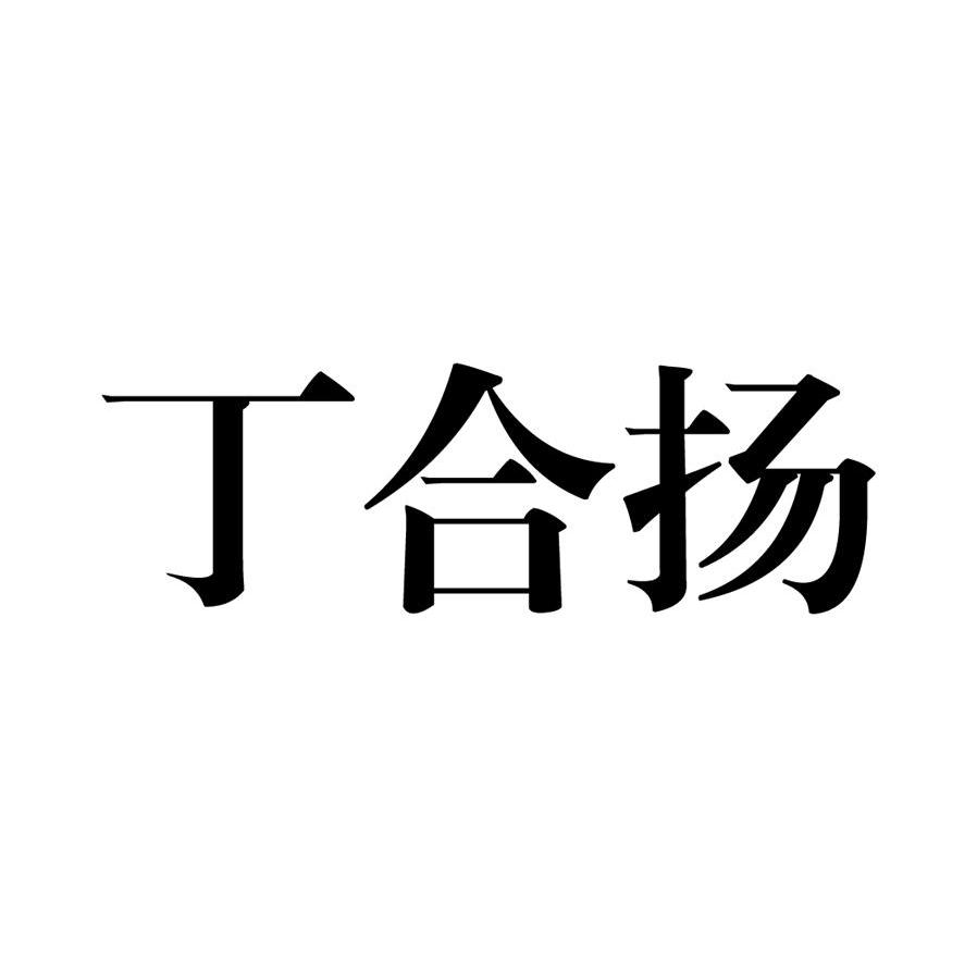 丁合扬
