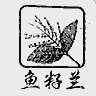 鱼籽兰