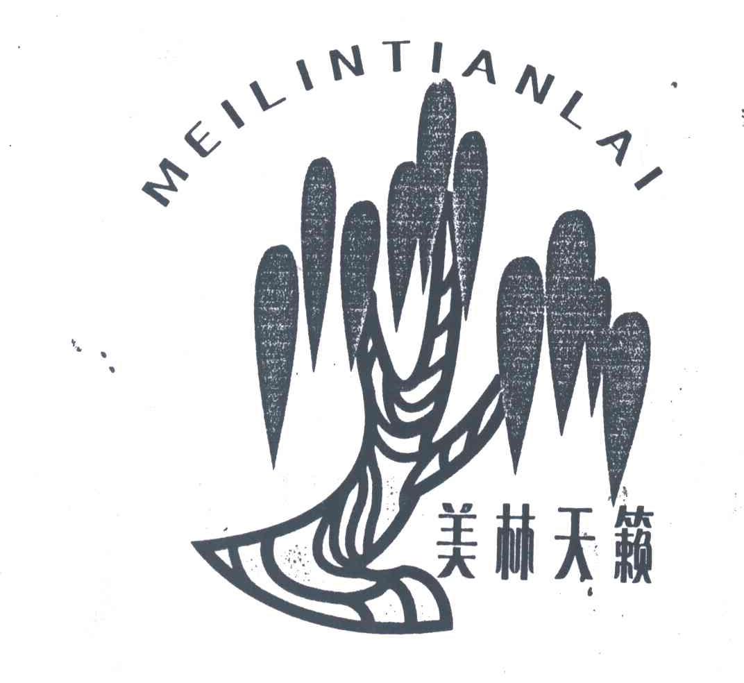 美林天籁