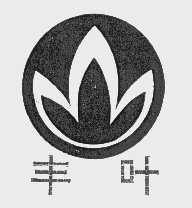 丰叶