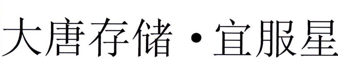 大唐存储&middot;宜服星