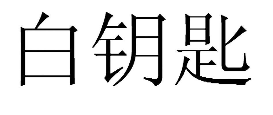 白钥匙