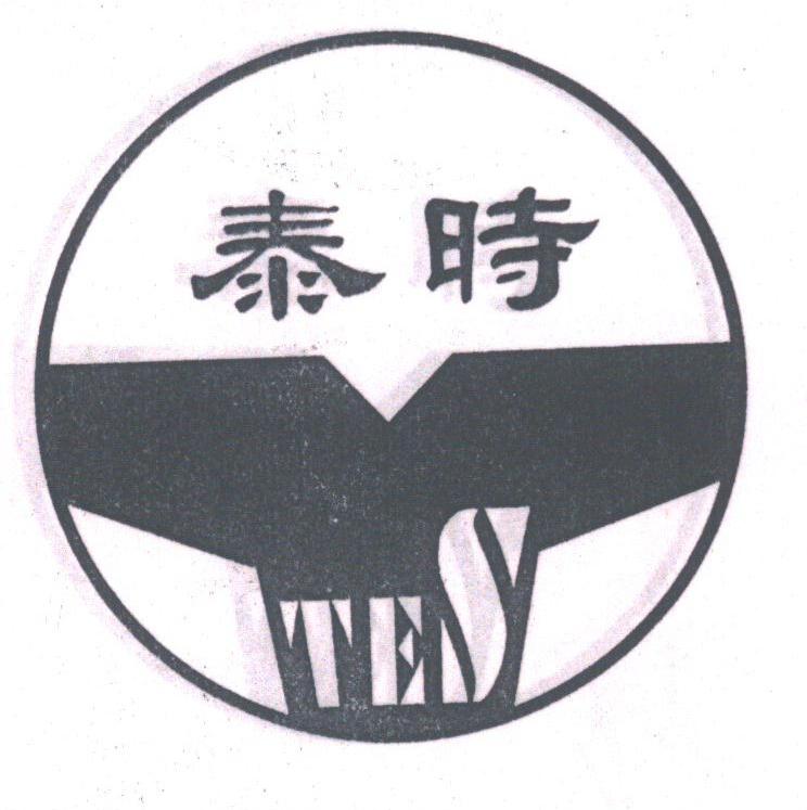 泰时;TES