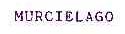 MURCIELAGO