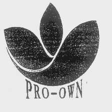 PRO-OWN