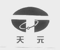 天元