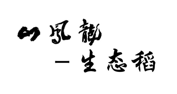 龙凤山&mdash;生态稻
