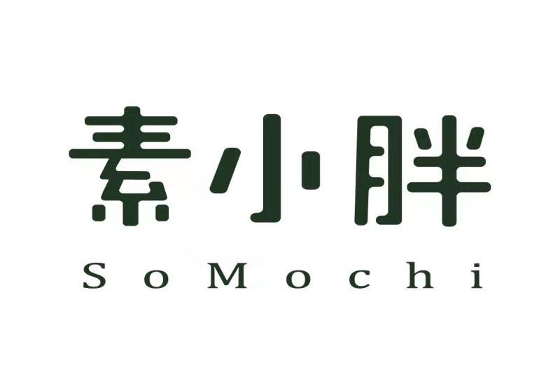 素小胖 SOMOCHI