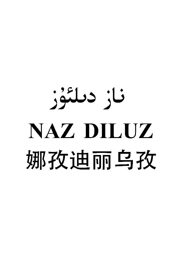 娜孜迪丽乌孜 NAZ DILUZ