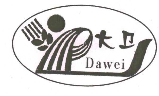 大卫
