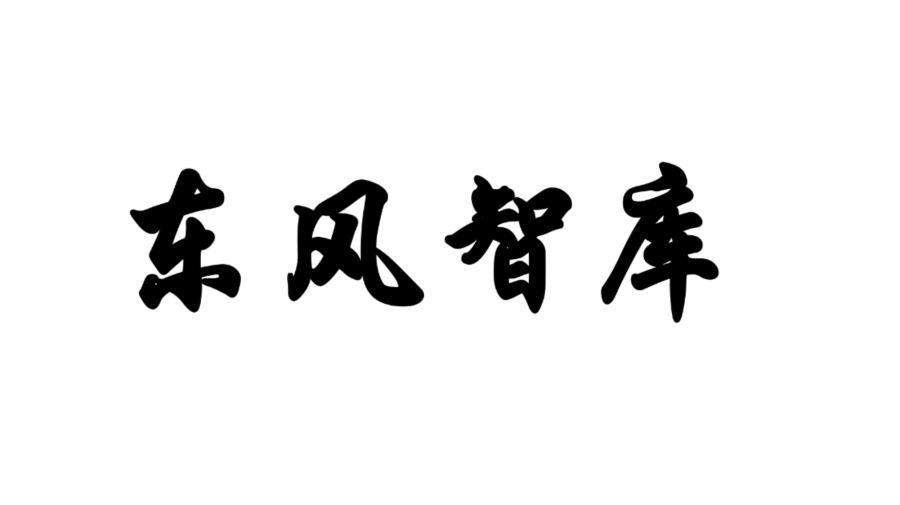 东风智库