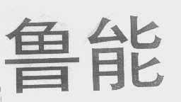 鲁能
