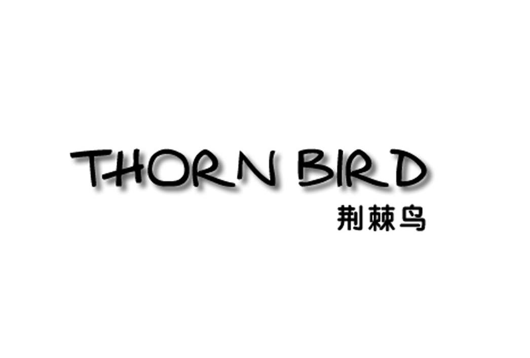 荆棘鸟 THORN BIRD